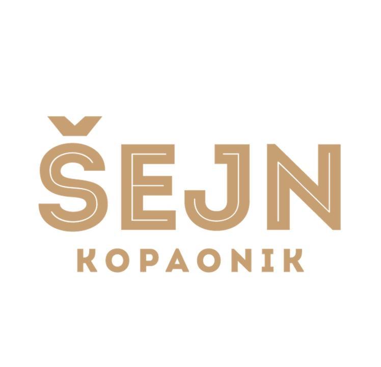 Guesthouse Sejn Kopaonik Exterior foto