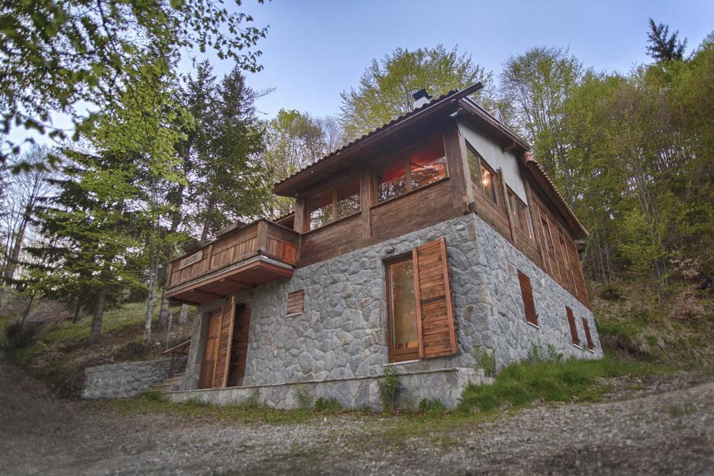 Guesthouse Sejn Kopaonik Exterior foto