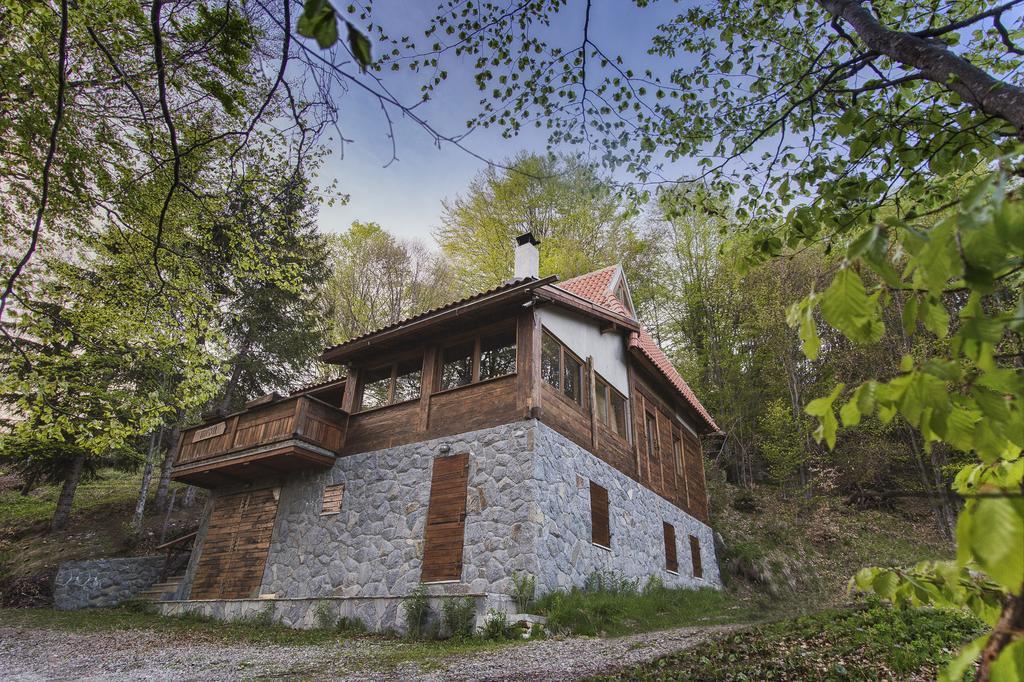 Guesthouse Sejn Kopaonik Exterior foto
